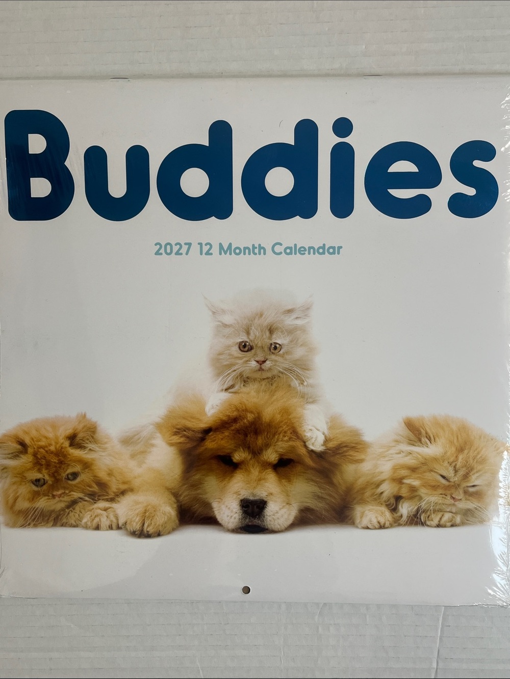 Buddies 2027 Pets Calendar - Cream